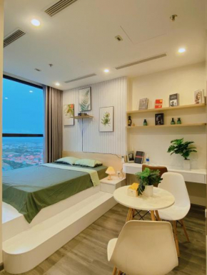 TK1.3708 Vinhomes Smart City